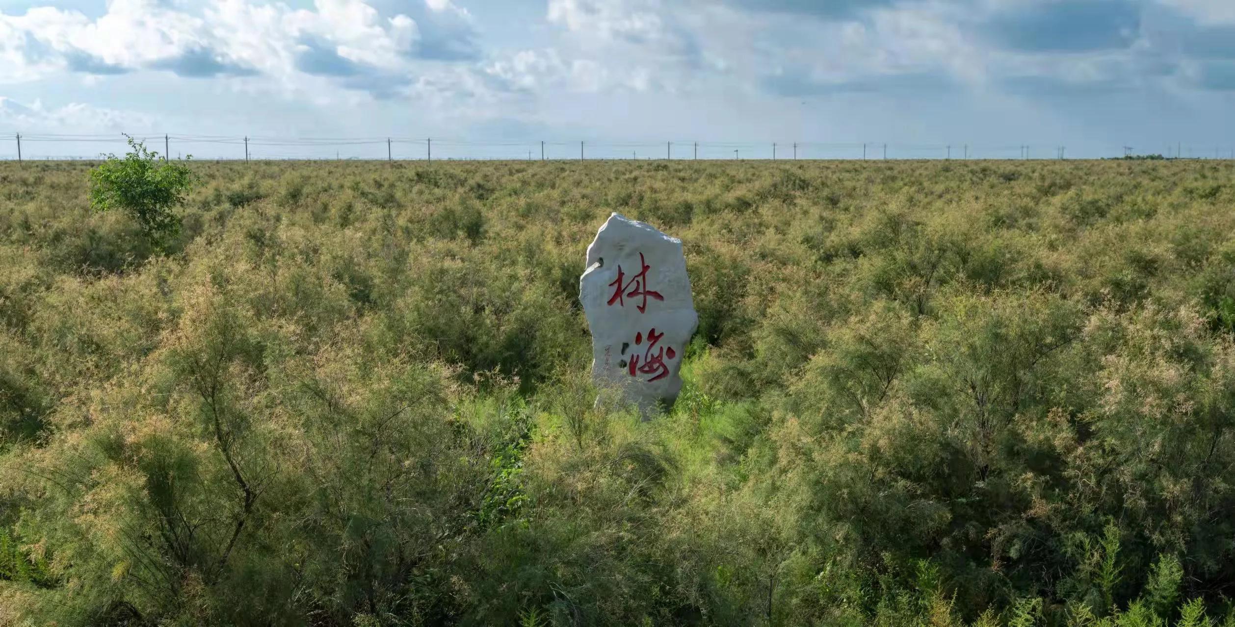“南红北柳”在全国叫响一一全国海洋生态品牌现场会在山东召开