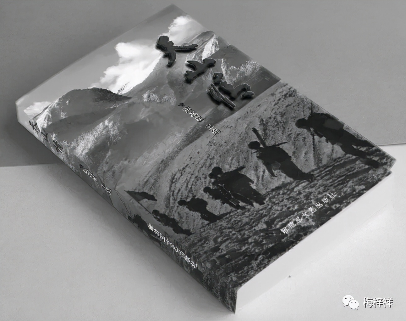 为陶福星战友《天山情》再版序 作者：梅梓祥