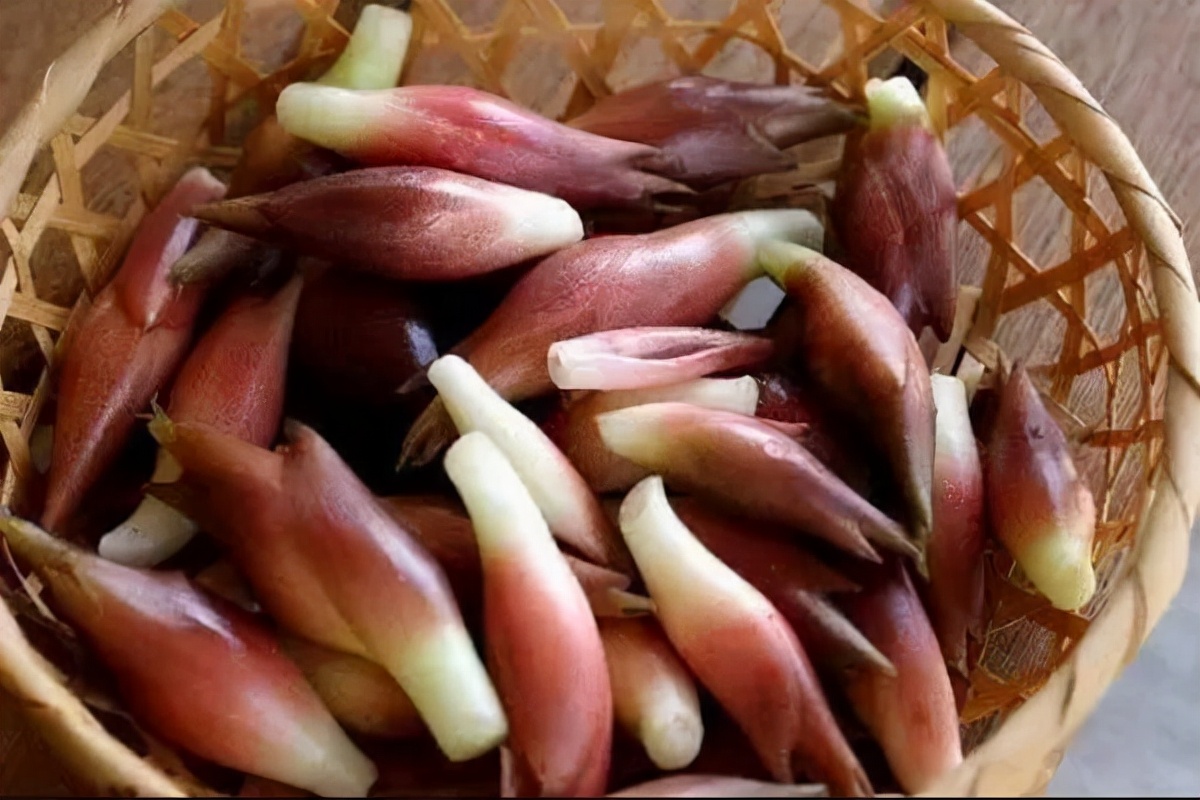 31種野菜大合集，帶你認識不同的野菜和吃法，你想要的野菜這裡有