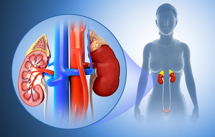 不要错把肾衰竭当皮肤病，身体若有5变化，可能是肾衰竭发出信号