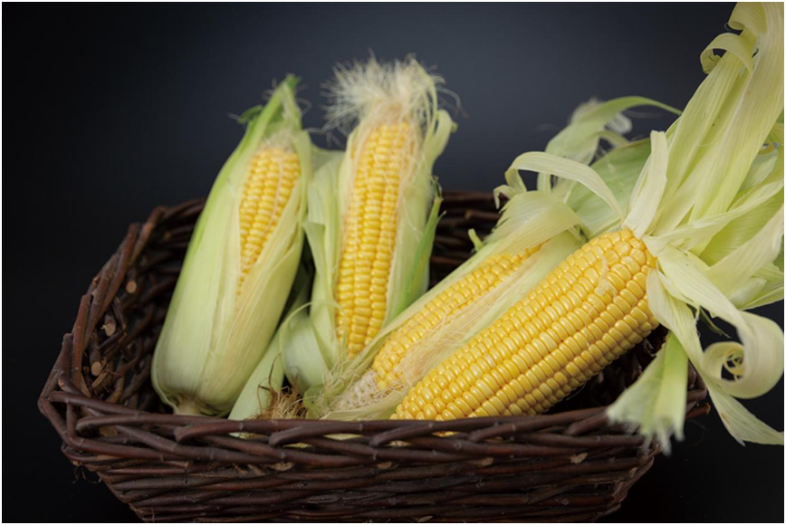 鲜食玉米：“吉字号”农产品的王牌