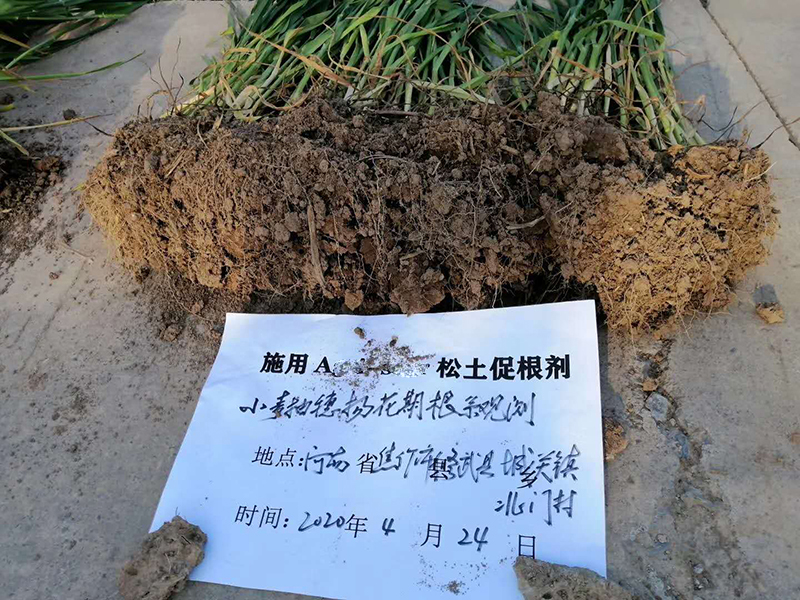 如何進(jìn)行土壤改良？土壤出問(wèn)題了上再多肥料也別想增產(chǎn)