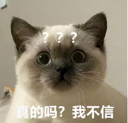 万国觉醒丨冬日音乐节听觉盛宴震撼来袭