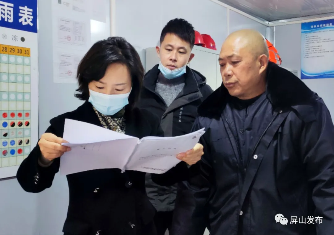 在北城首席,宜宾观邸(一期),江北商砼站等在建项目现场,赵丹对工地