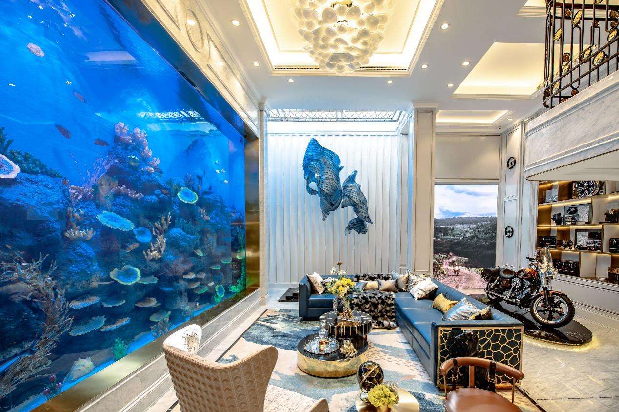 富豪圈都轰动了！北京某业主，把“海底世界”装进了别墅地下室