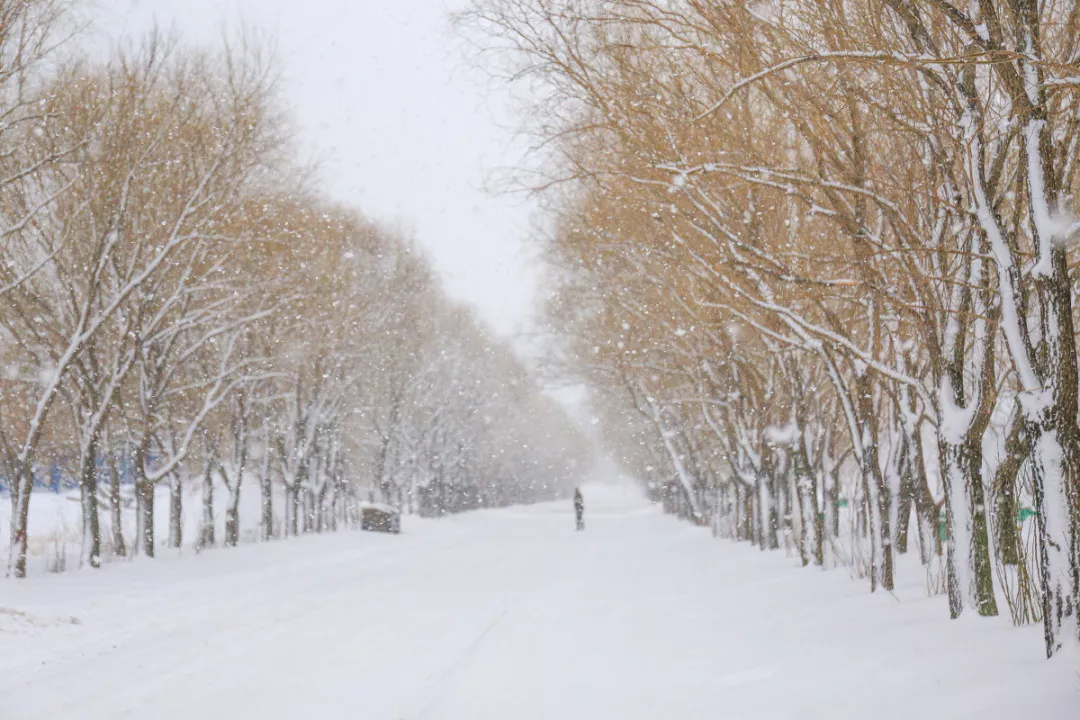 【夜读 · 散文】冰雪记忆
