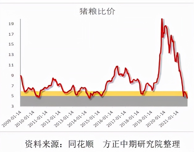 猪粮比打底，猪周期有望重启