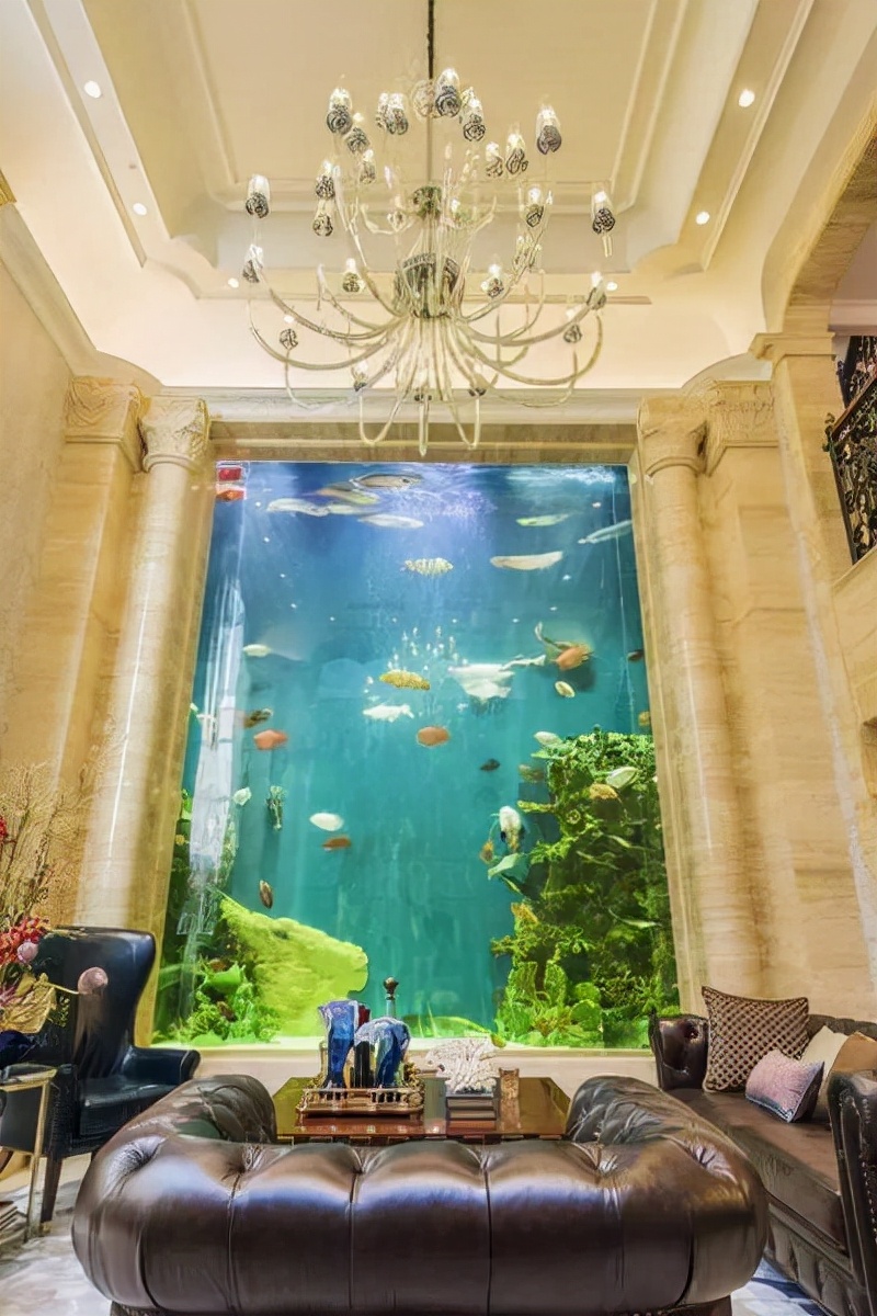 富豪圈都轰动了！北京某业主，把“海底世界”装进了别墅地下室