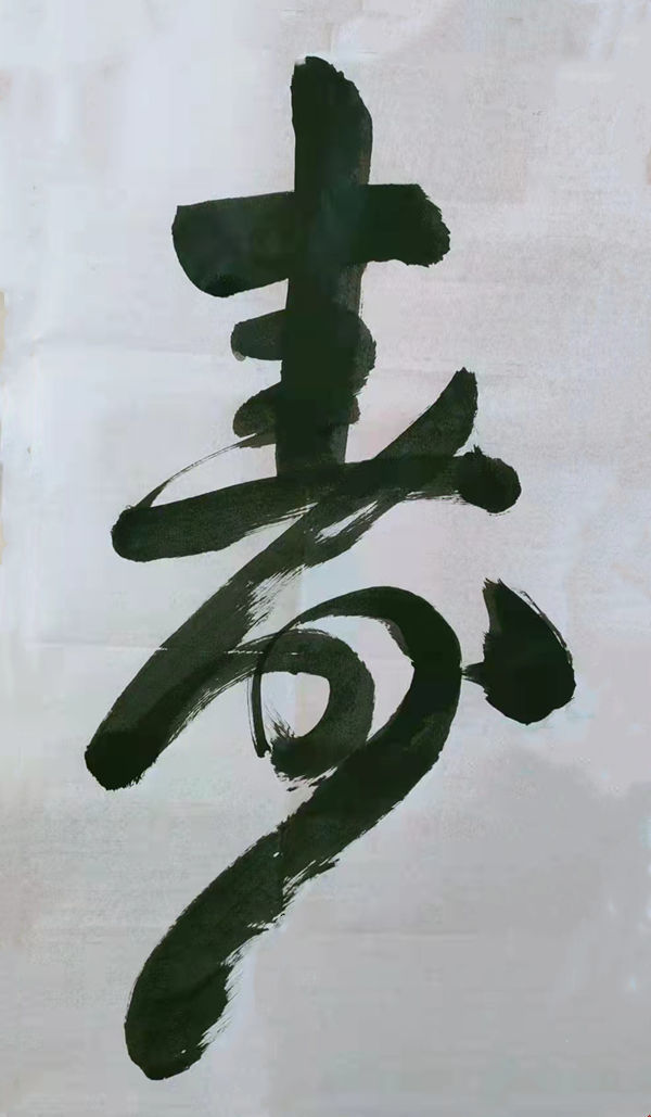 書法家王洪艷——下筆有神 灑脫俊勉