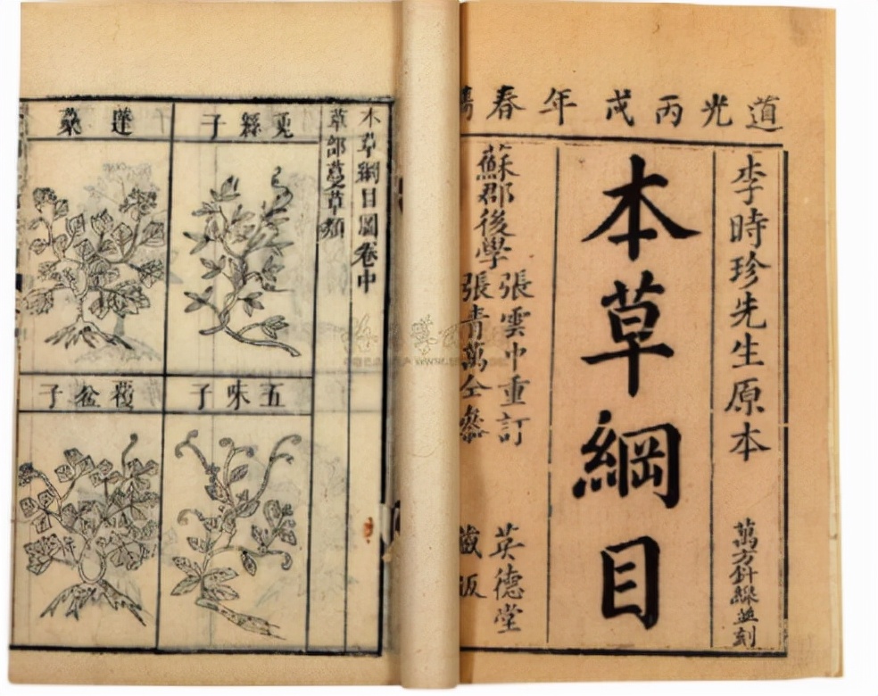 蛊到底是什么？为何人们对它敬而远之？连科学也无法解释？
