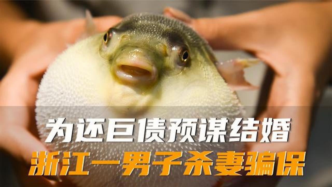 浙江一公职人员用河豚毒杀妻，但河豚自身并无毒素，剧毒从何而来