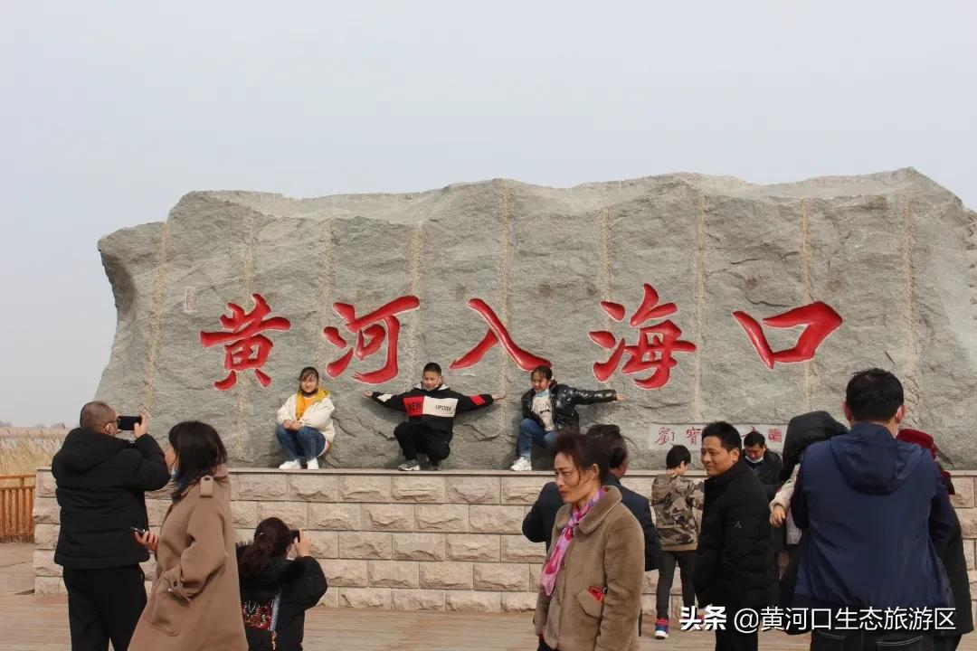【黄河口生态旅游区】岁末大寒至 静候春归来
