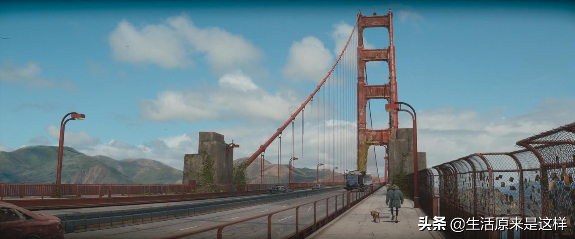 《芬奇》观后感