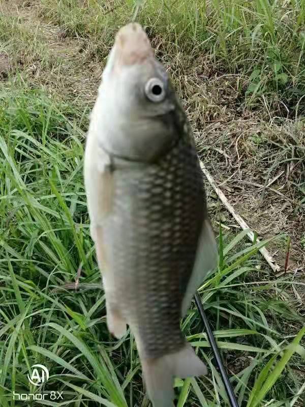 浣溪沙·孝心