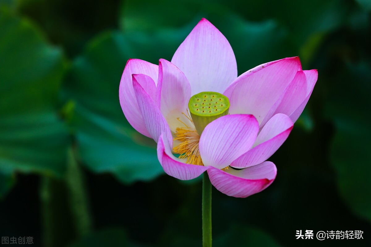 盘点我做自媒体三年的成就，说说我的成长心路历程和做法