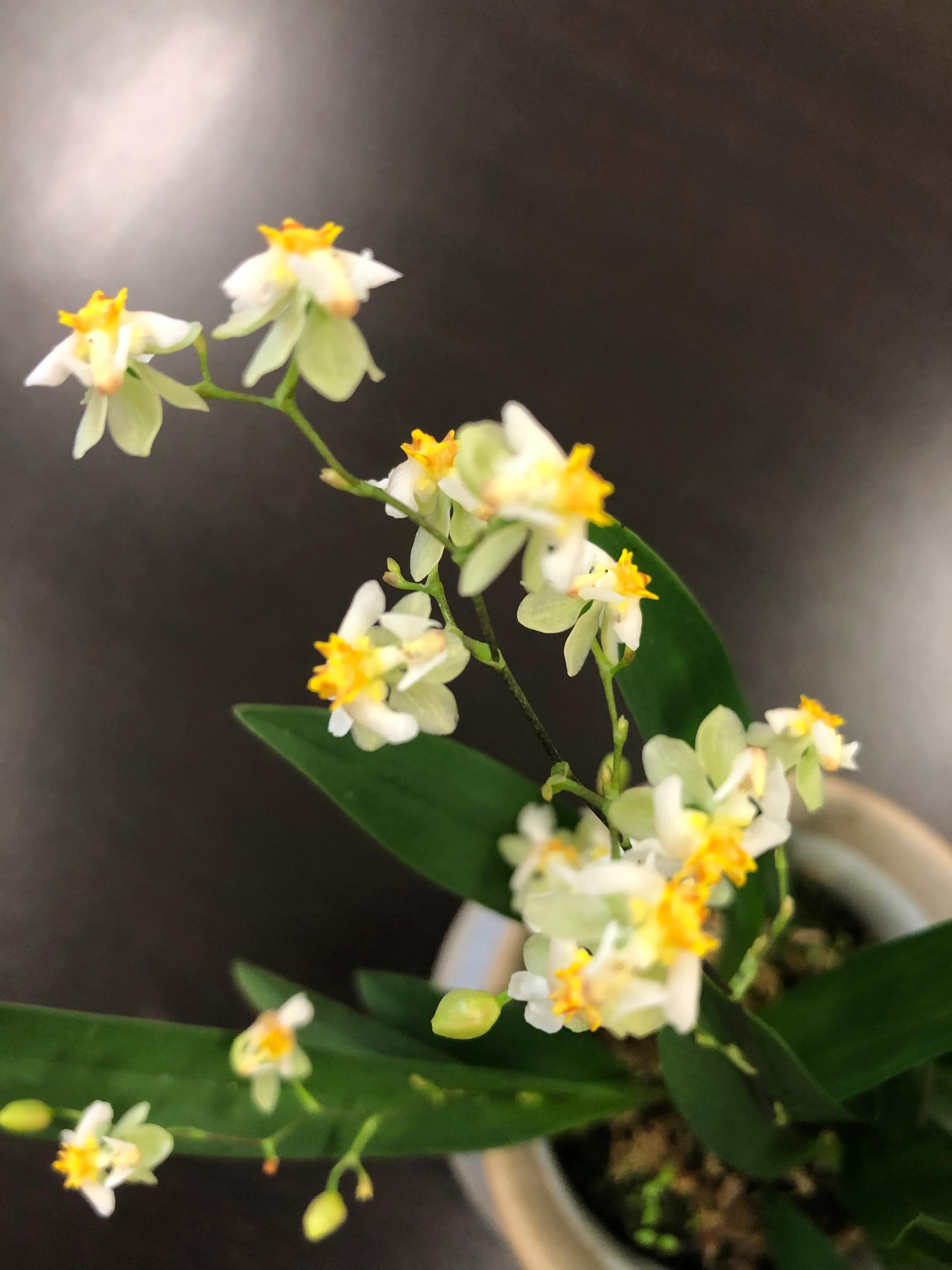 医药为什么贵？