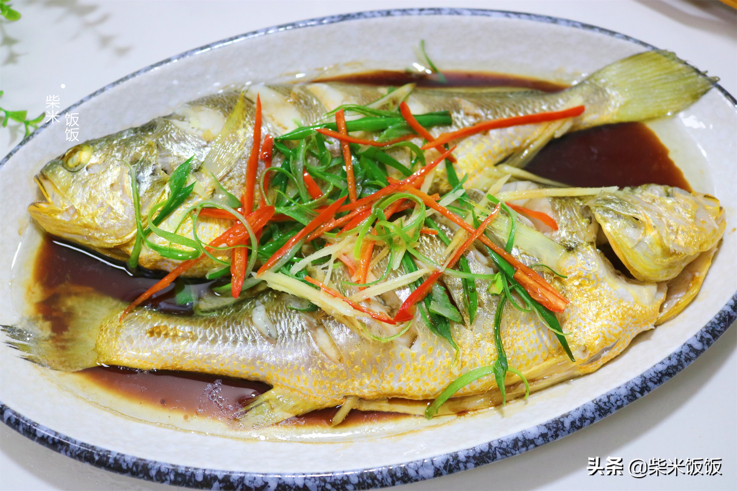 这种鱼，肉多刺少营养高，大火一蒸十分钟上桌，比红烧还好吃