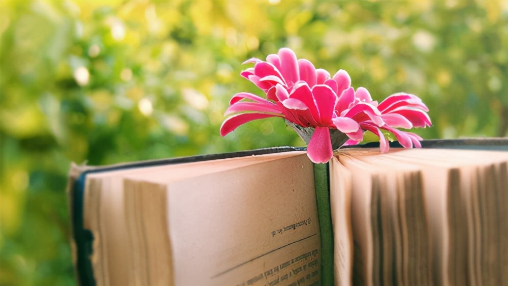 心理学：5500字干货，深度剖析“完美主义”如何限制了你的人生？