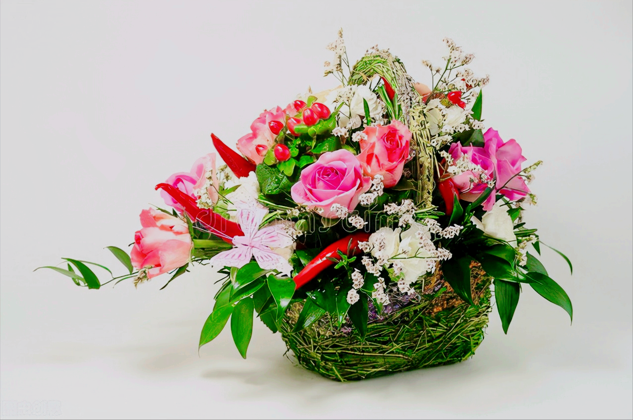 正月迎春花样红,二月杏花粉洋洋.三月桃花红艳艳,四月杜鹃满山红.