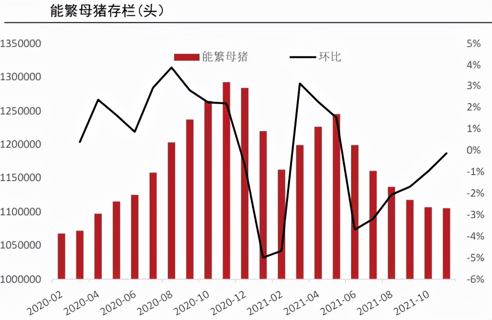 宽松供应依旧，旺季能助生猪逆转“颓势”？