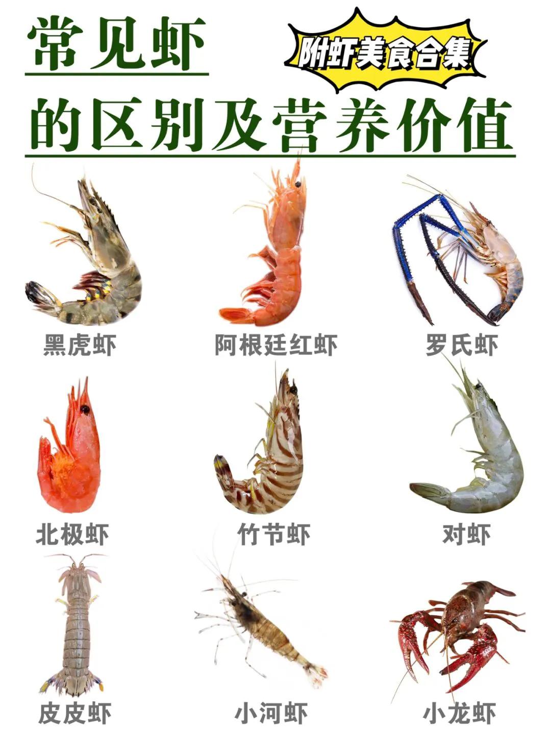 常见虾的区别及做法