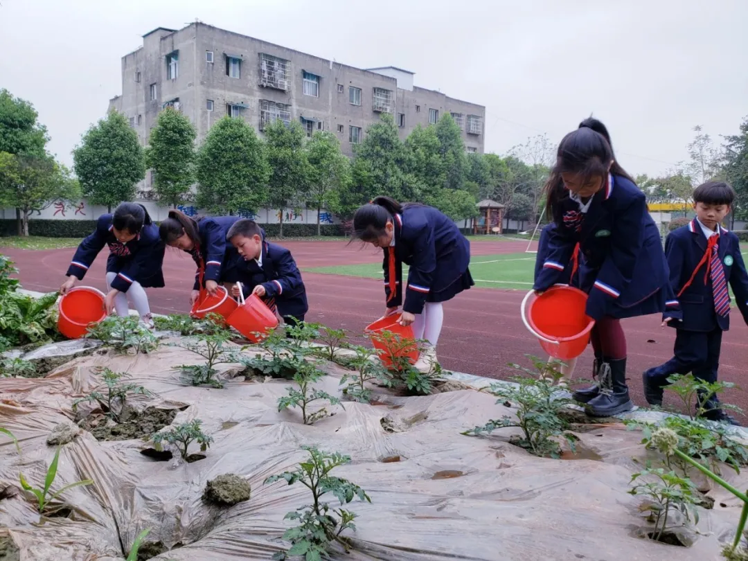 四川天府新区新兴小学劳动教育实施方案