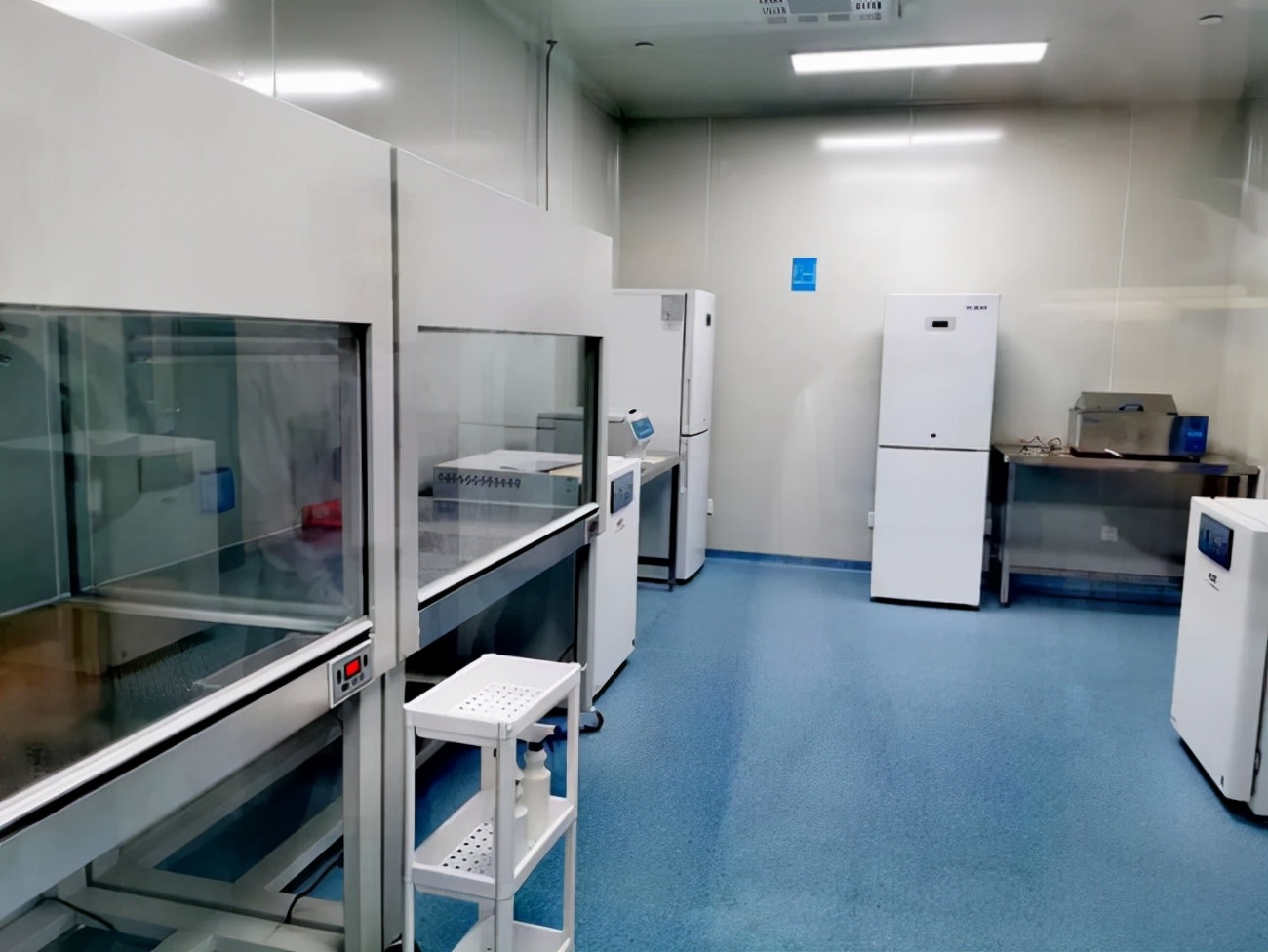 金桥医药研发 可做化学合成，能办环评，104板块，凯龙国际大厦