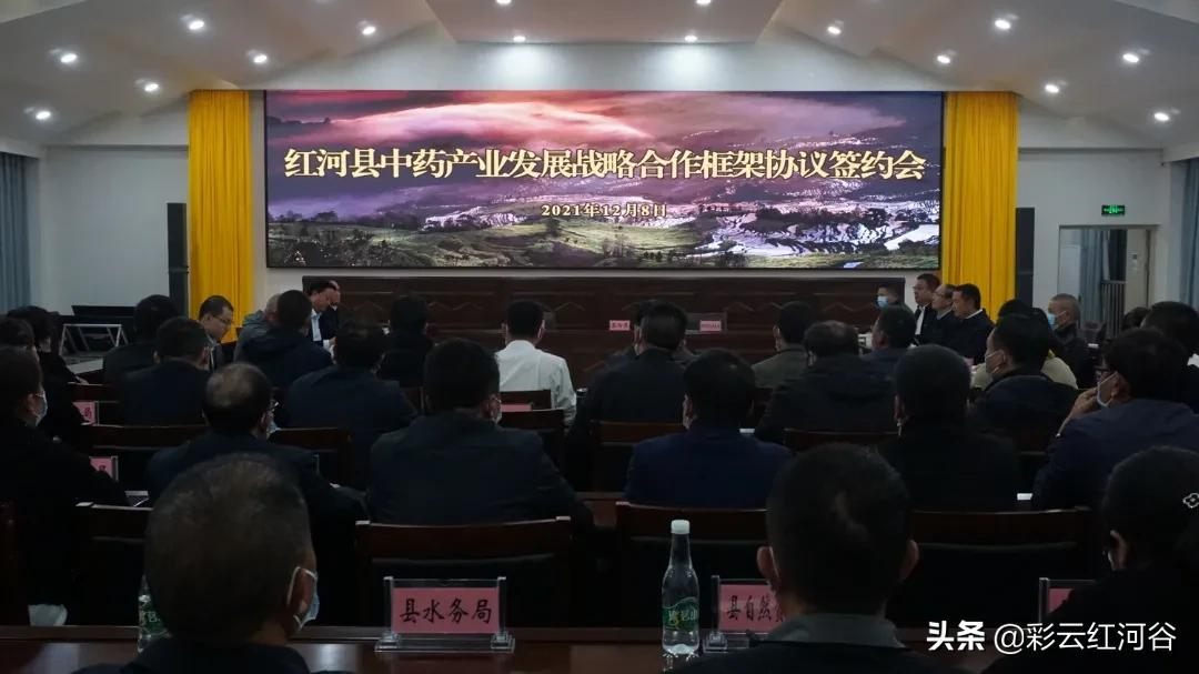 侨乡招商 | 红河县举行中医药产业发展战略合作框架协议签约会