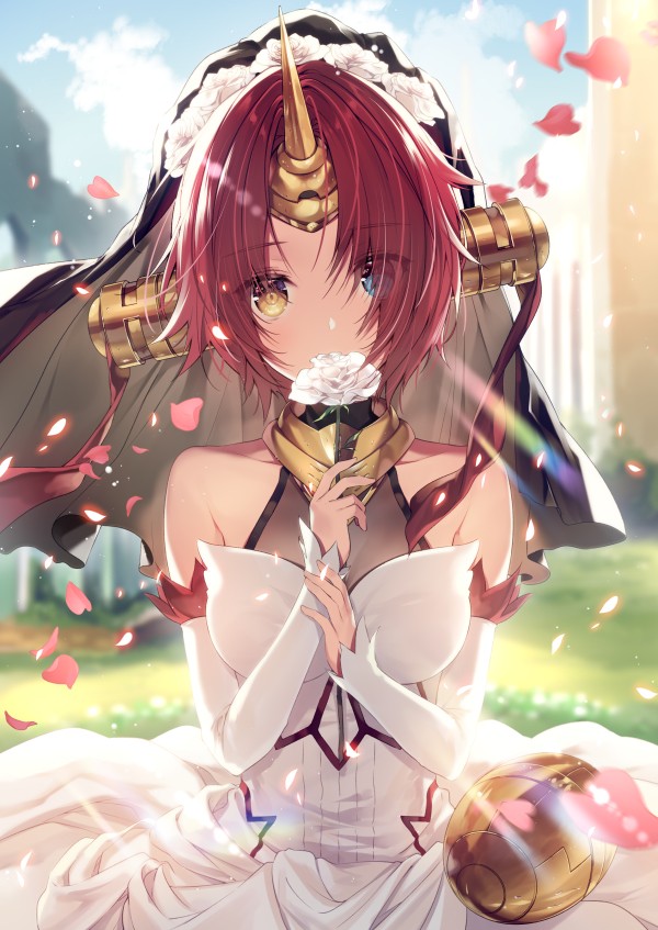 聊聊fate里人工製造的美少女，一共有六人，有一人大家都很熟悉