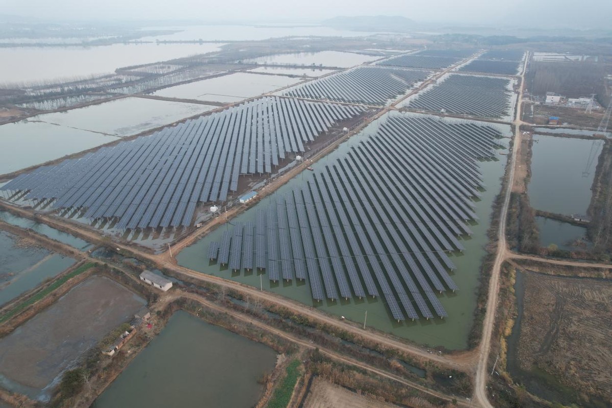 阳新:发电养殖两不误!中南电力总承包98兆瓦渔光互补项目启动