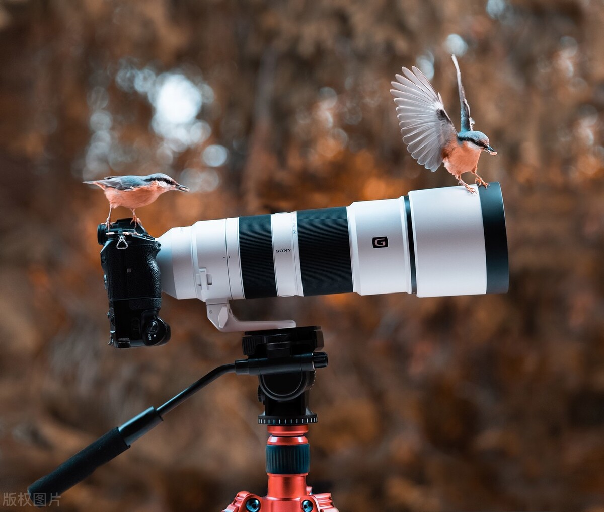 自媒体月入过万到底难不难？其实并不难