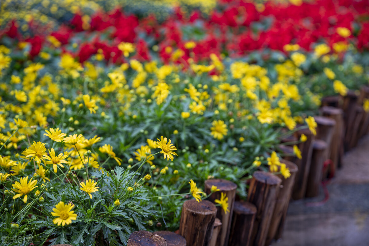 2021我从打工族到全职写作，从单篇0.47到7000元，收获远不止这些