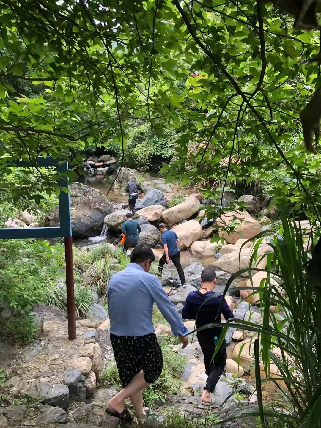 上海国际设计周艺术指导陈银松：沉湎于自然的温润视角来看待世界
