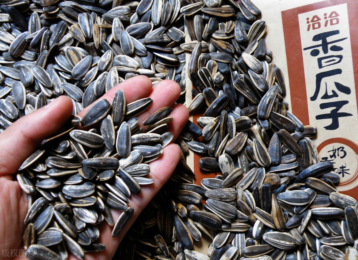 吃一把瓜子等于喝一勺油？教你正确吃瓜子的方法，吃出营养和健康