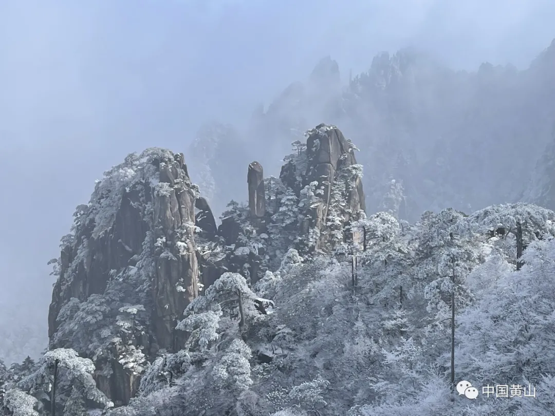 黄山雪后初霁,日出云海齐现美如仙境