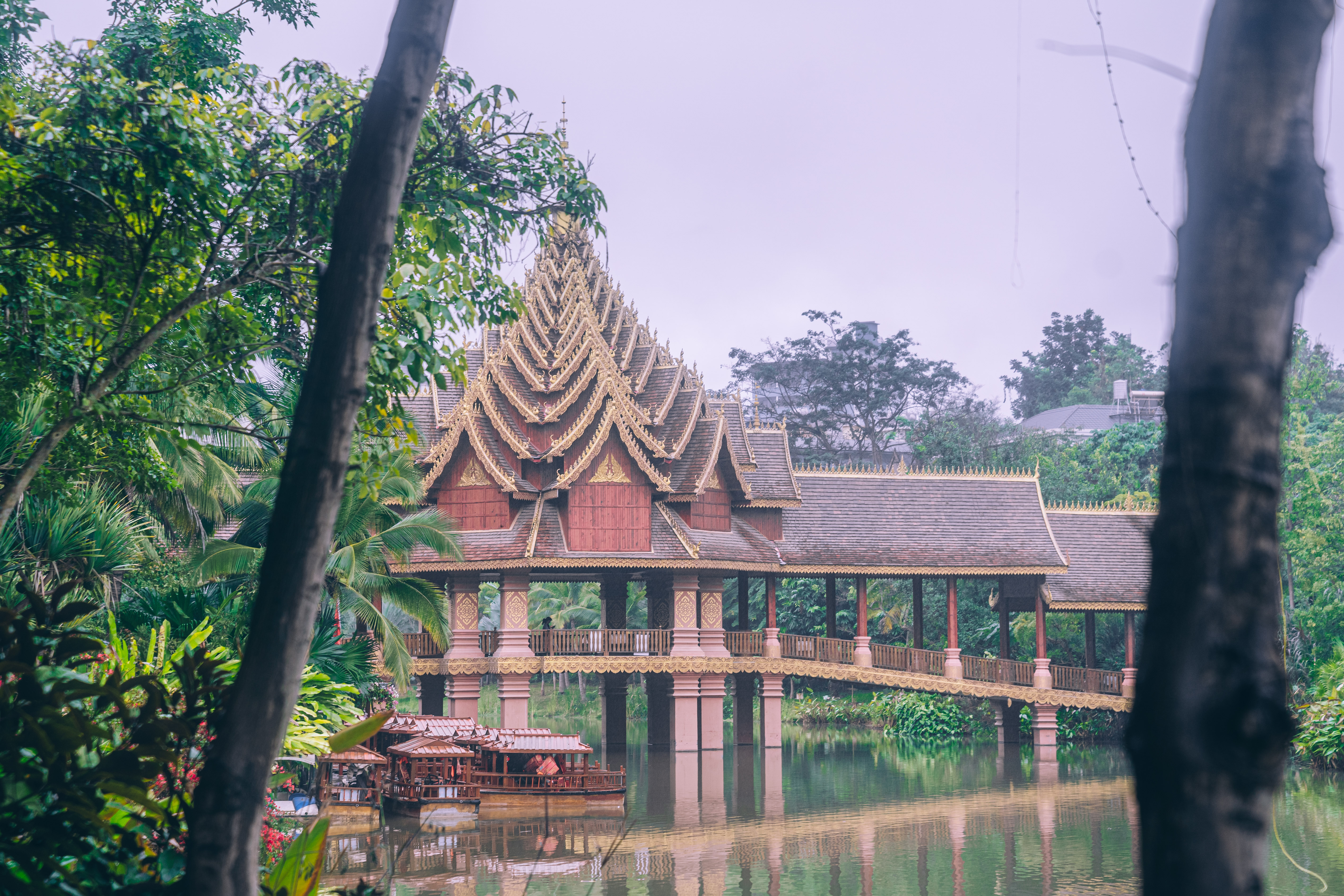 不逛一逛这个公园白去西双版纳,这太有异域风情,仿佛来到泰国 - 时代