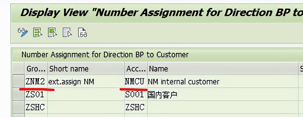 SAP 维护Plant Profile 报错- No customer account group assigned