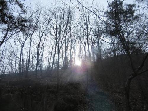 秦岭神奇事件：所有的活物都消失不见了