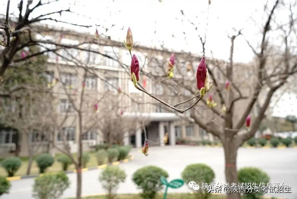 院校风采 || 走进“示范高职院校”—西安电力高等专科学校