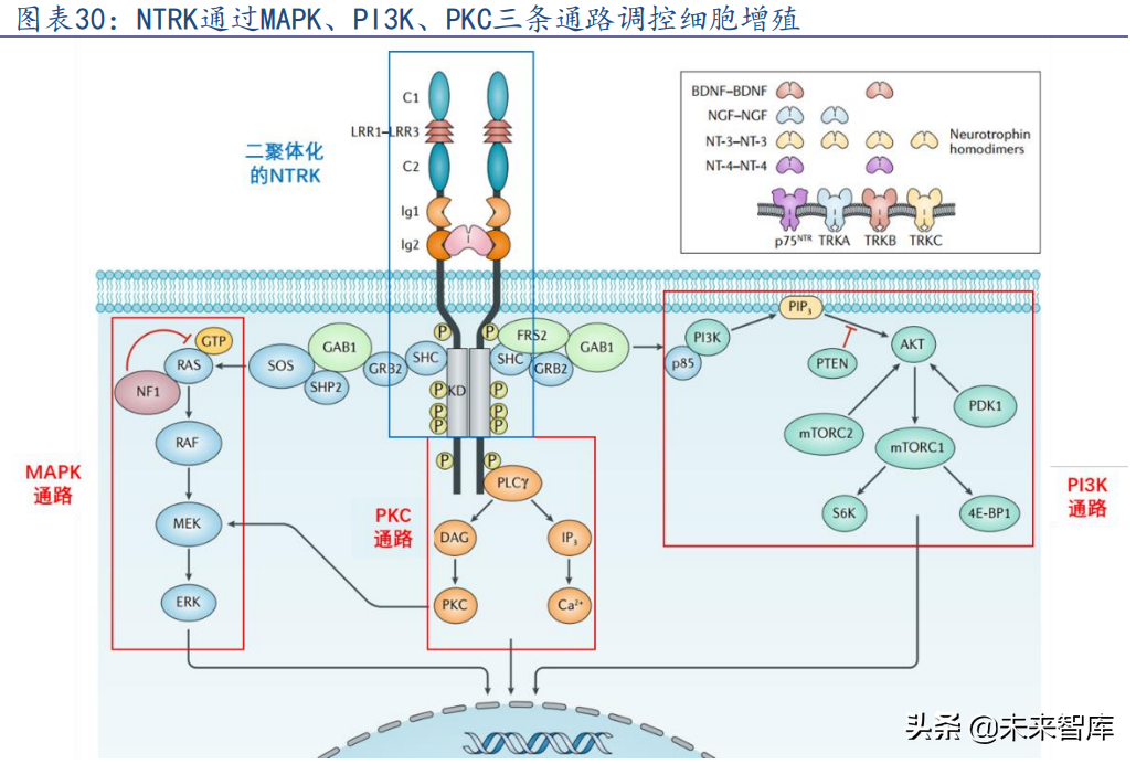 医药行业专题研究报告：泛癌种生物标志物行业研究