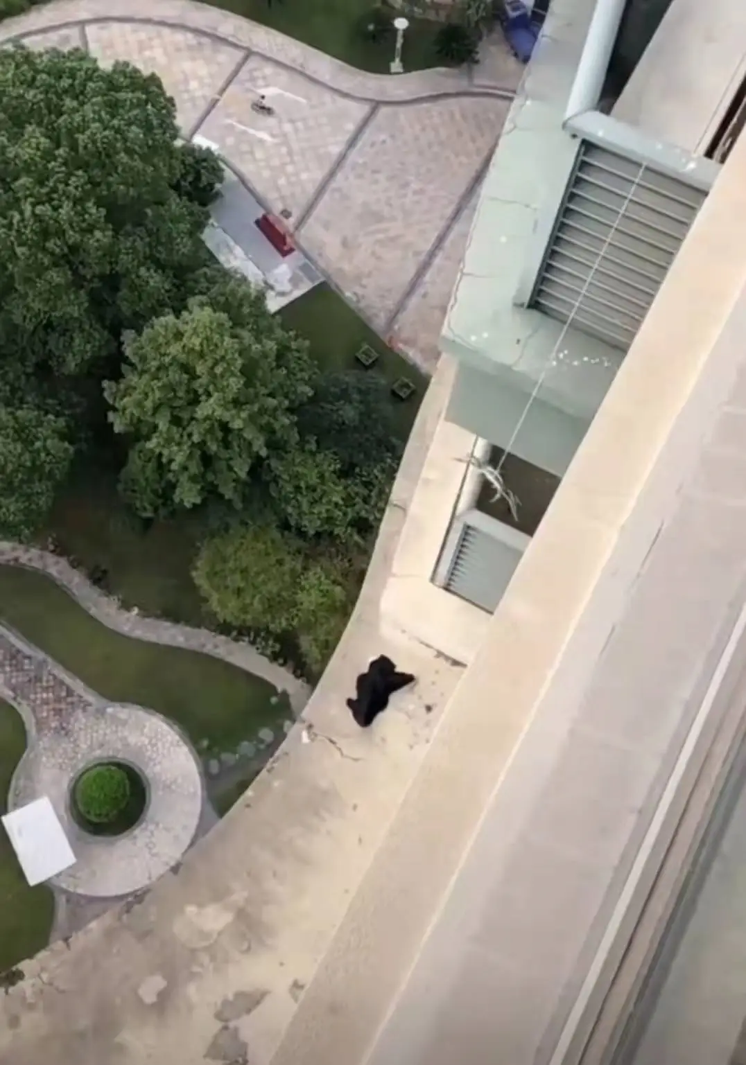 衣服被风吹落阳台，男子用绳子吊着大闸蟹夹起，网友：放生它