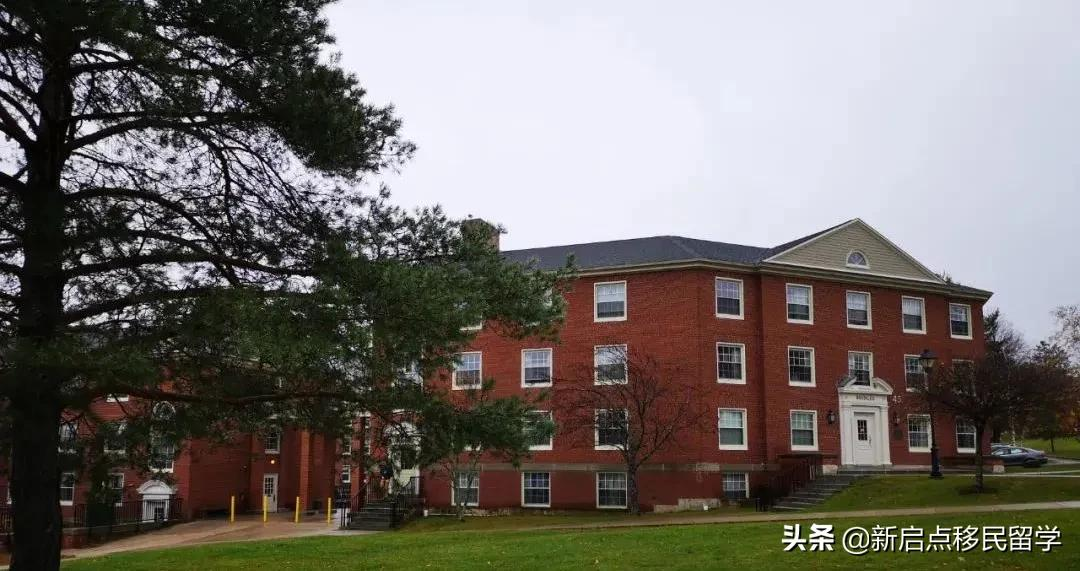 加拿大大西洋移民计划转为永久项目,试点期间运营主管移民加拿大