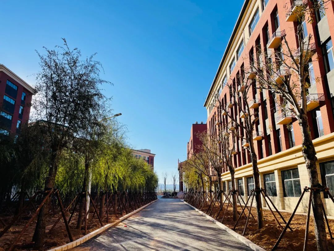 宣化启臻从a到z每个字母都是启臻人的独家记忆