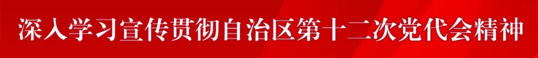 何朝建：做优做强实体经济，弘扬传承发展瑶医药，发展新产业新业态