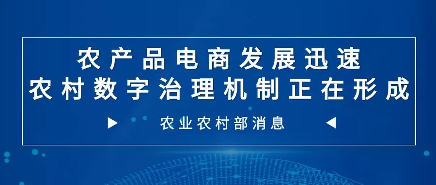 农业农村部信息中心:农产品电商发展迅速 农村数字治理机制形成
