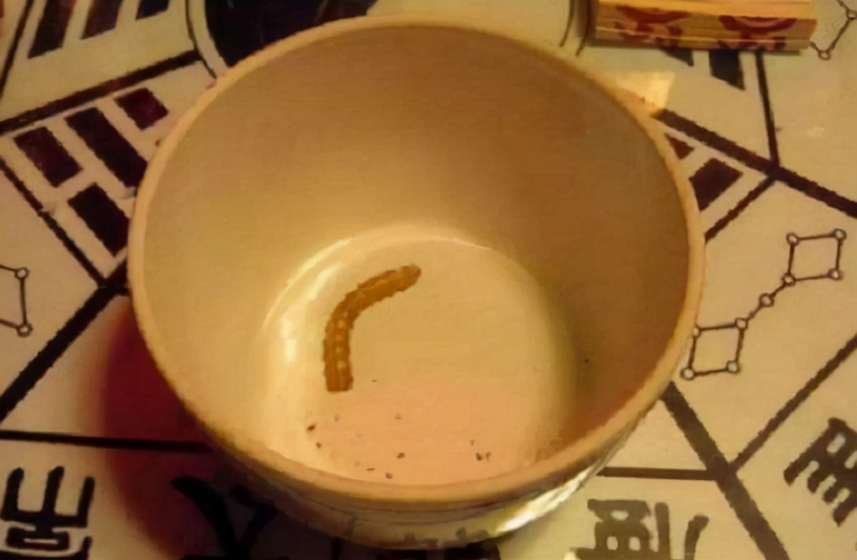 蛊到底是什么？为何人们对它敬而远之？连科学也无法解释？