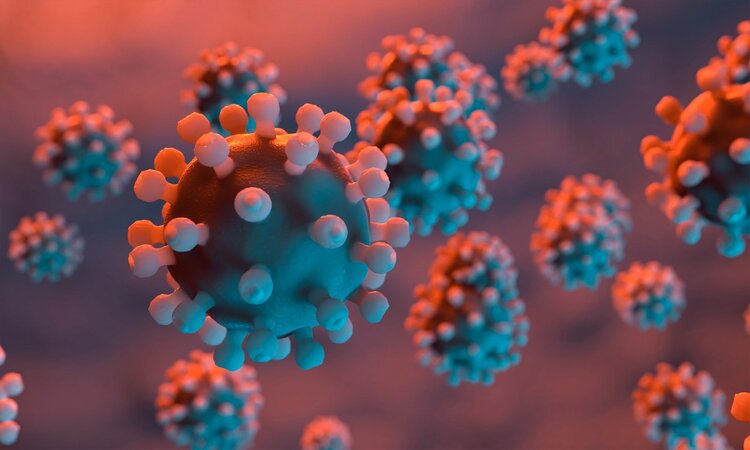 姚贝娜查出乳腺癌时是早期，经过化疗已经痊愈，为何人还是没了？