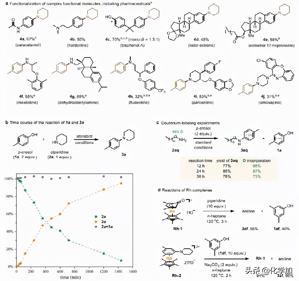 西湖大学石航课题组JACS：苯酚的催化胺化