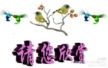 铁十四师战友《辞旧迎新》网上联欢晚会专辑！美篇制作：张永学