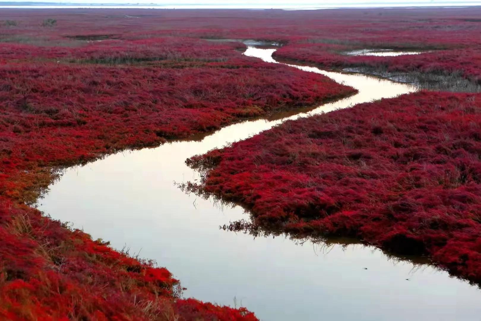 “南红北柳”在全国叫响一一全国海洋生态品牌现场会在山东召开